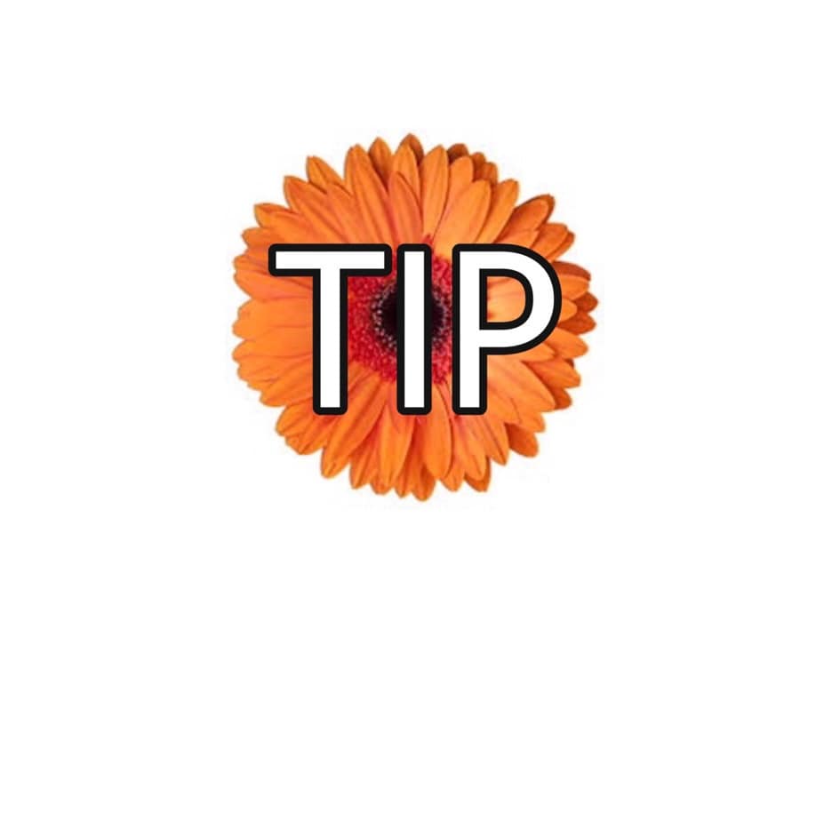 Gratuity for Delivery Staff